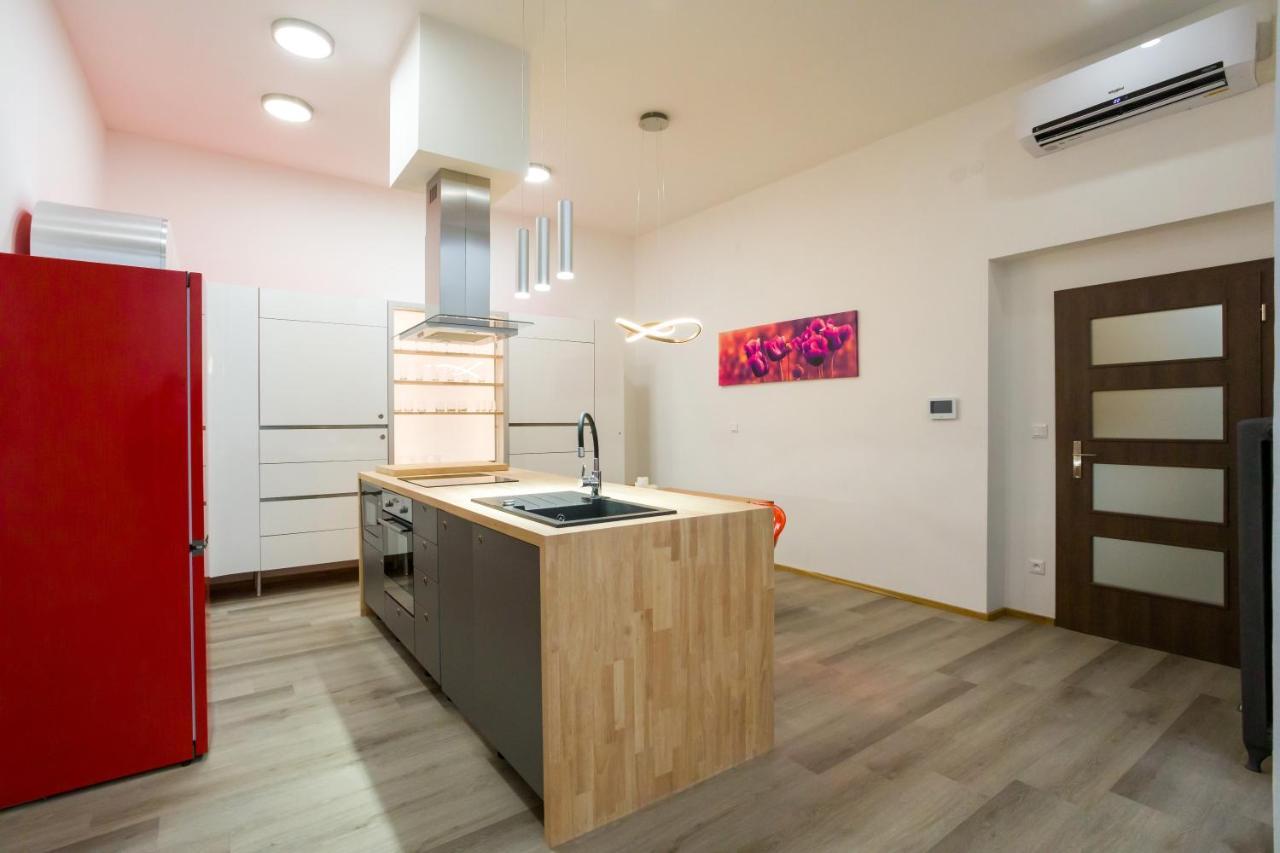 Luxusni Velky Apartman S Terasou V Centru Litomysle エクステリア 写真